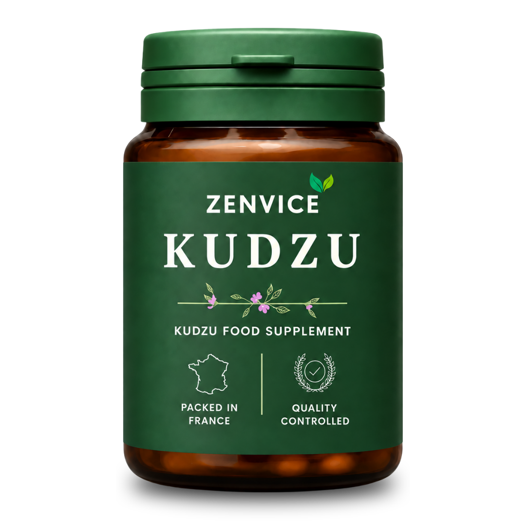 Zenvice