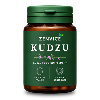 Zenvice