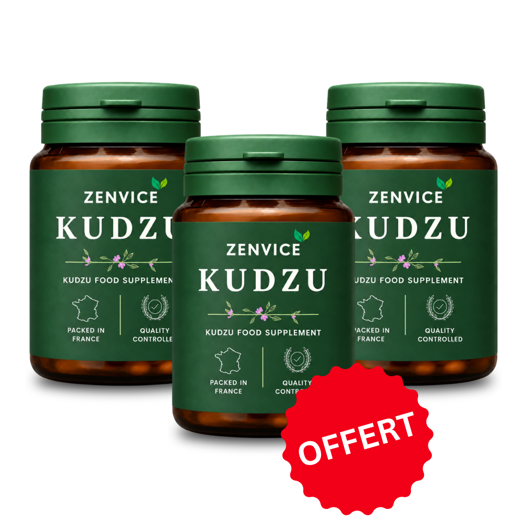 Zenvice