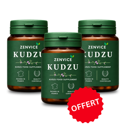 Zenvice