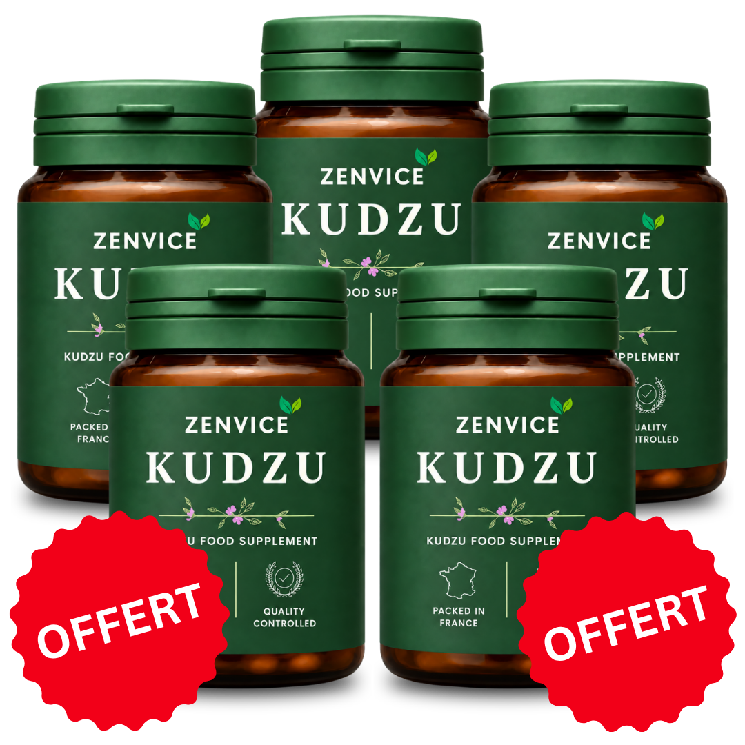 Zenvice