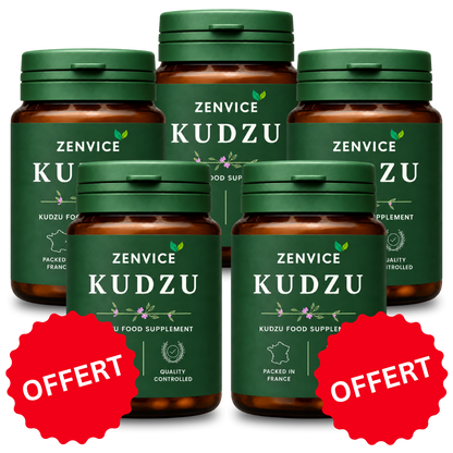 Zenvice
