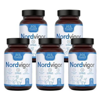 Nordvigor